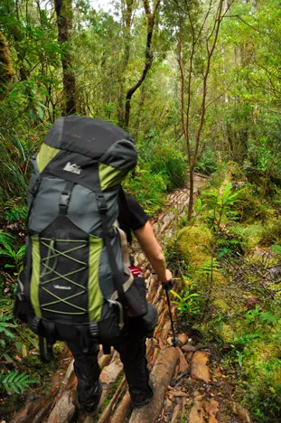 South Coast Track — photograph 126