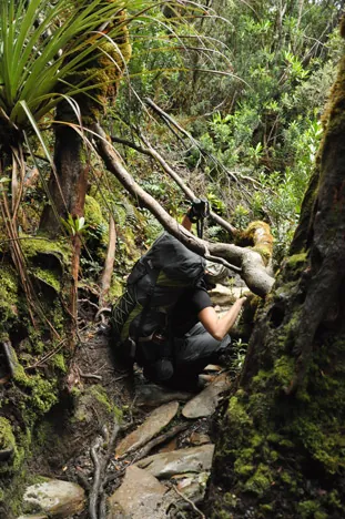 A veritable obstacle course, made worse with the sack of potatoes on your back!