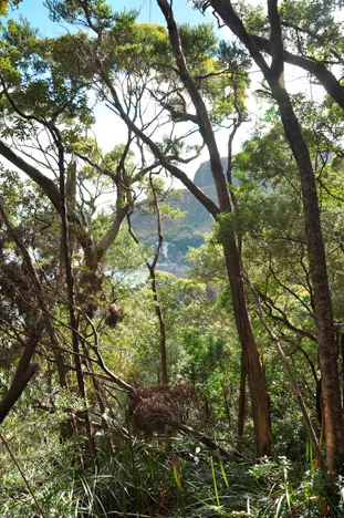 Finally we reach the coast again and painfully crawl into camp after 11 hours of trekking