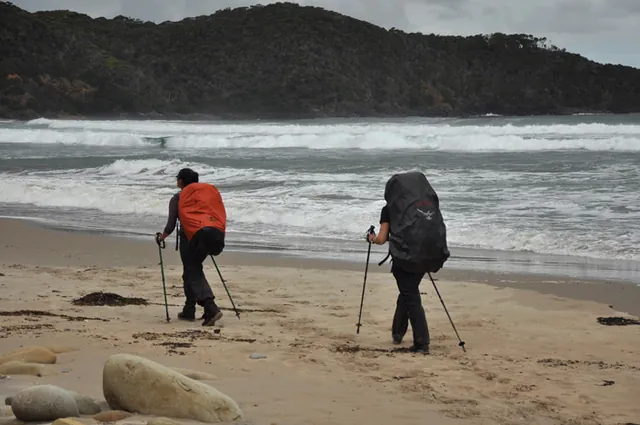 South Coast Track — photograph 147
