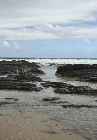 South Coast Track — photograph 148
