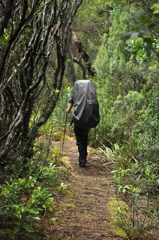 South Coast Track — photograph 154