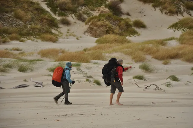 South Coast Track — photograph 161