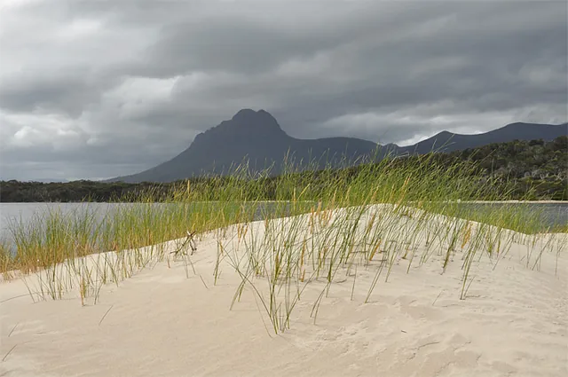 A grassy sand bank with Precipitous Bluff in the background