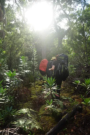 Peeling out of camp into the damp undergrowth.