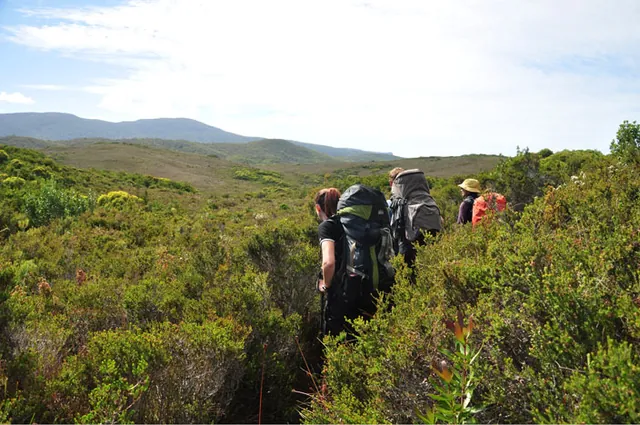 Looking across at the bushy route ahead