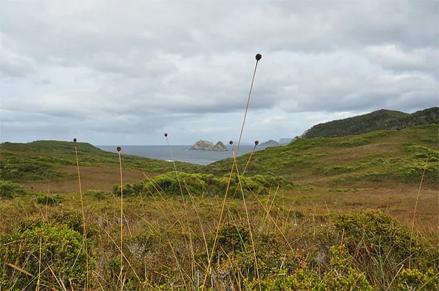 Looking down to Rocky Boat Inlet and Hen Island