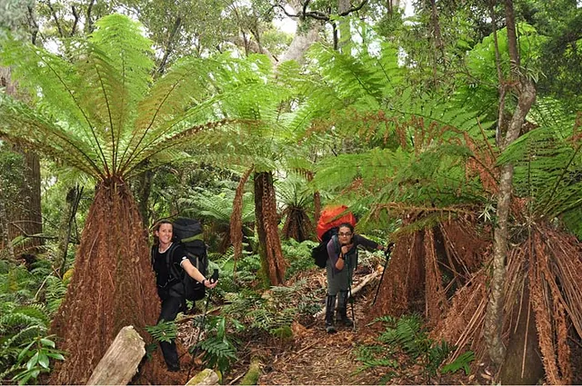 South Coast Track — photograph 188
