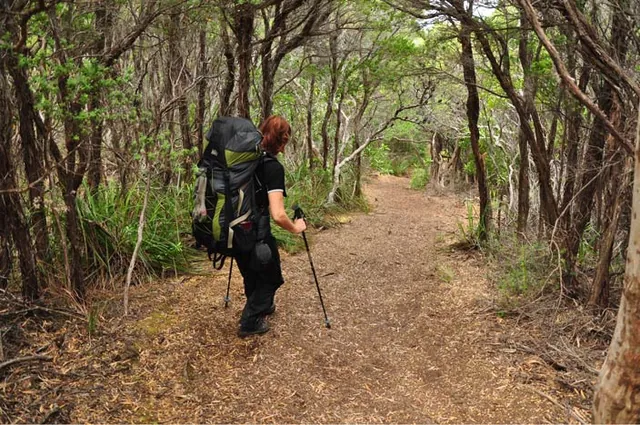 South Coast Track — photograph 189