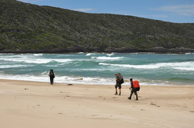 South Coast Track — photograph 192