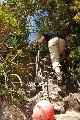 The steep steps off the beach at Surprise Bay