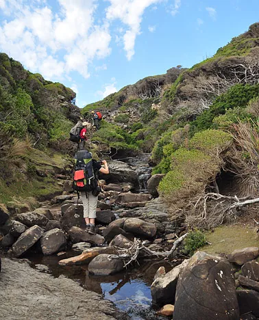 The drinking water source close to camp