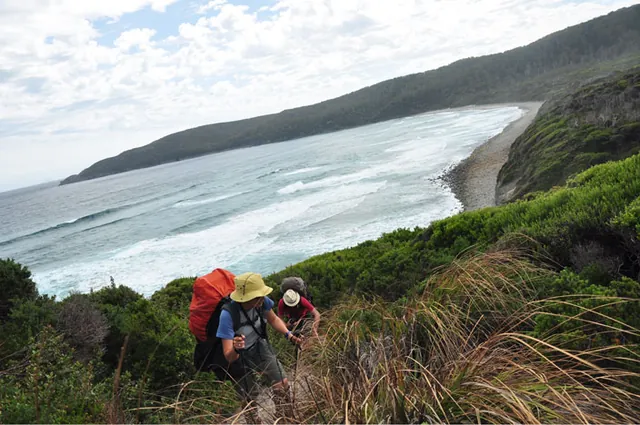 South Coast Track — photograph 209