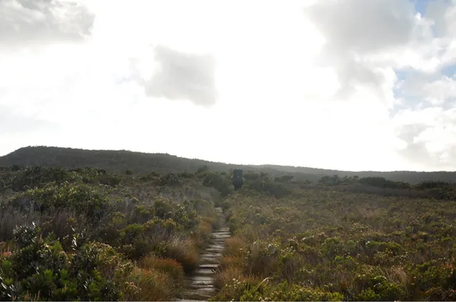 Reaching the top of Flat Rock Plain with relative ease
