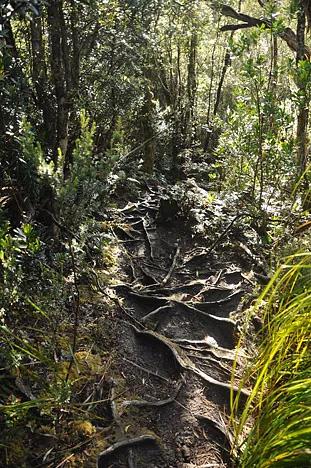 A trekkers worst nightmare with aching soles of feet