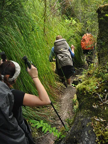 Passing by the 'trippy grass'