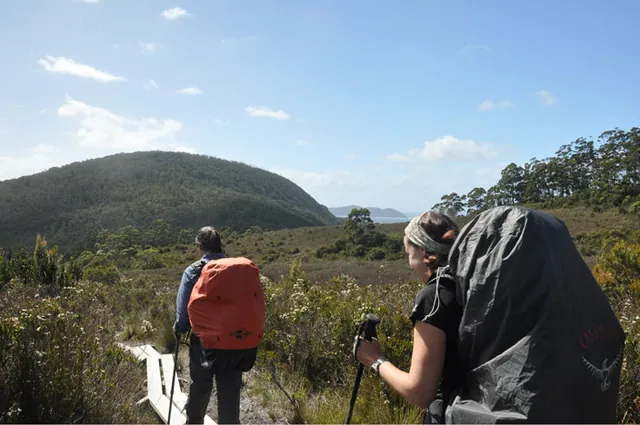South Coast Track — photograph 224