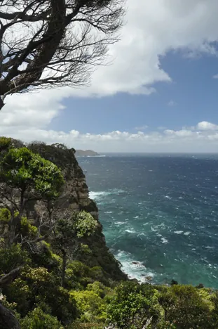 South Coast Track — photograph 225