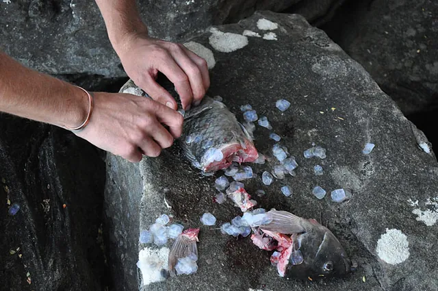 Gutting and de-scaling on the rocks