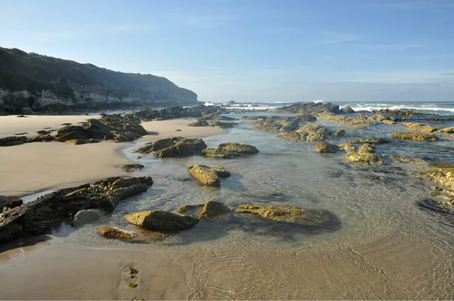 South Coast Track — photograph 236