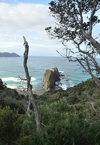Lion Rock from above
