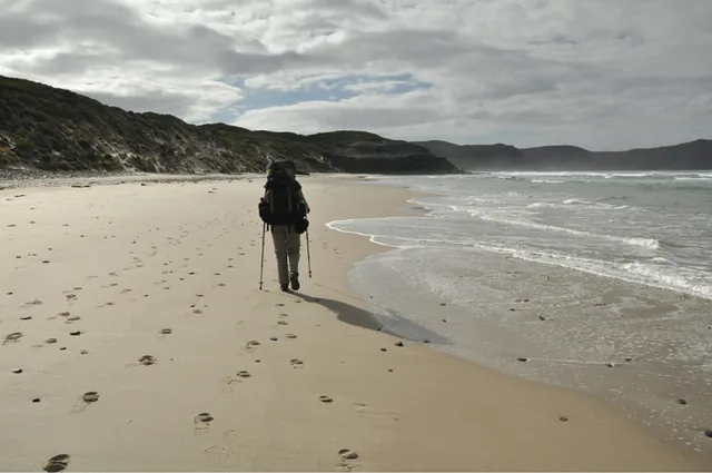 South Coast Track — photograph 244