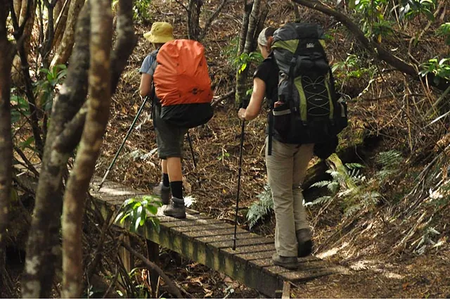 South Coast Track — photograph 248