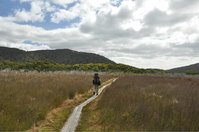 The final blast across the marshes to Cockle Creek