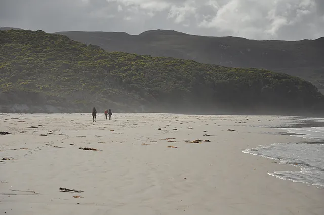 South Coast Track — photograph 61