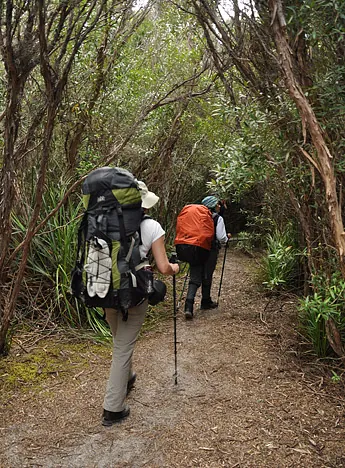 We leave the beach and make our way up into the Red Point Hills