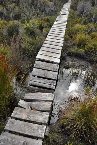 The walk would be a complete nightmare if it wasn't for these boarded sections over the boggy areas