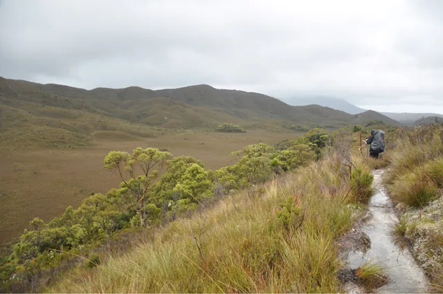 South Coast Track — photograph 87