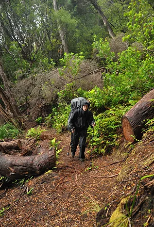 South Coast Track — photograph 88