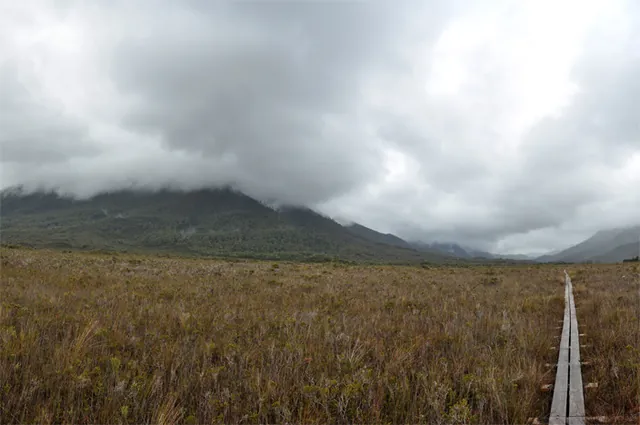 Misty mountain panorama