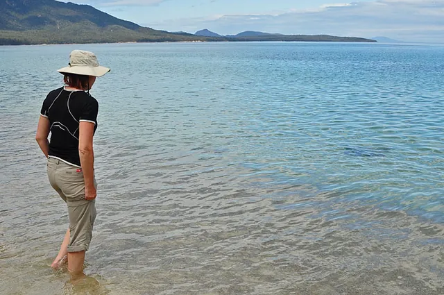 A passing stingray in the shallows