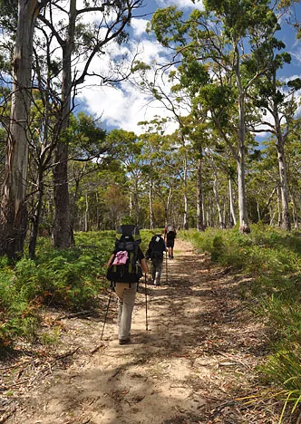 Inland trekking was nothing special. Maybe we were tired from the South Coast Track, but we were all pacing to get to camp for a chill
