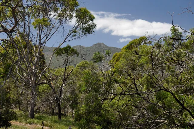 Mount Maria in the background