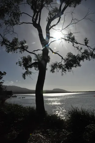 Another idyllic day on this remote island