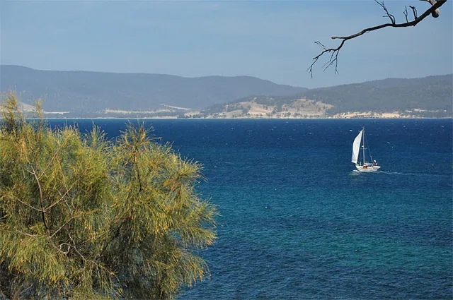 Gorgeous sailing conditions out on the Tasman Sea