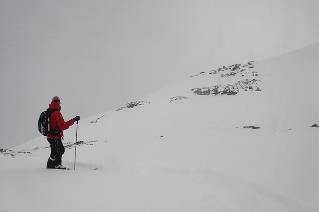 Our guide knew all of the best runs and did the obligatory avalanche tests