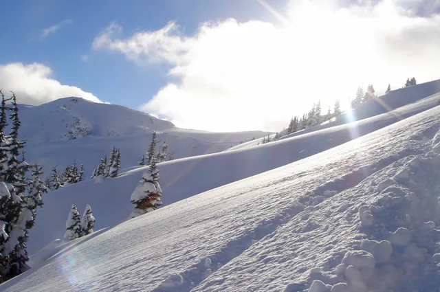 Untouched powder heaven