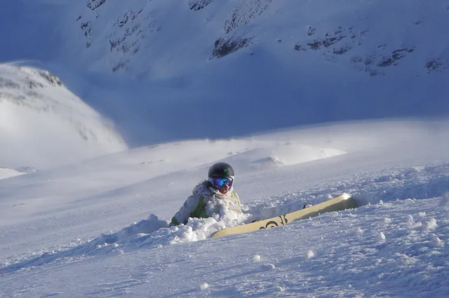 Gill face-plant