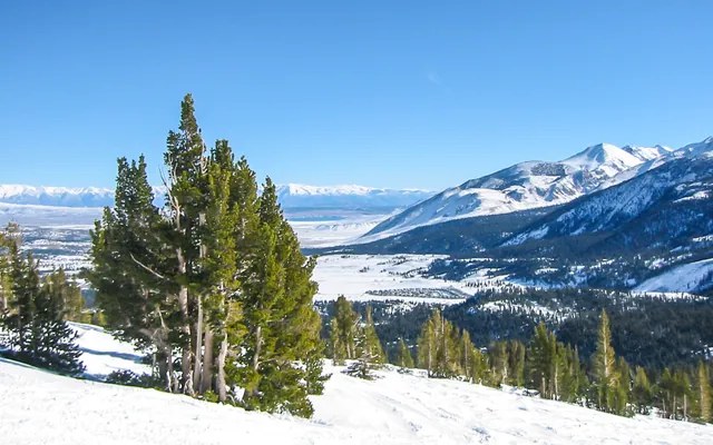 Mammoth Mountain — photograph 6
