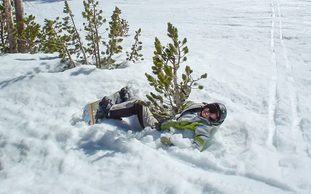 Even the little trees can take you out if you catch them at the wrong angle