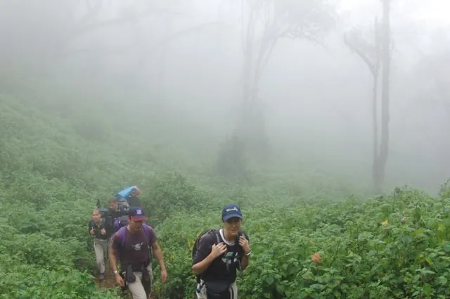 The first day sees us hiking up through the eery misty rainforest section