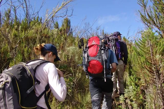Today we leave the rainforest and ascend into the heathlands