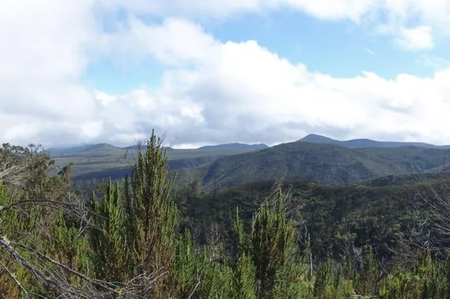 The Kilimanjaro foothills in the distance