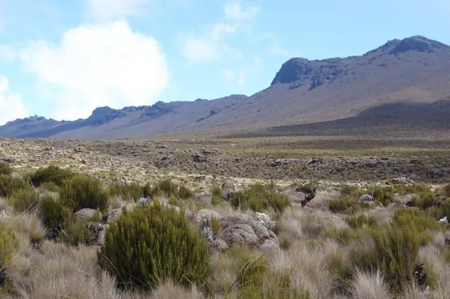The Shira plateau
