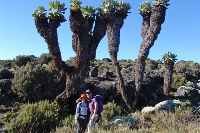 Alex and Smones in front of the strange Sinesi trees
