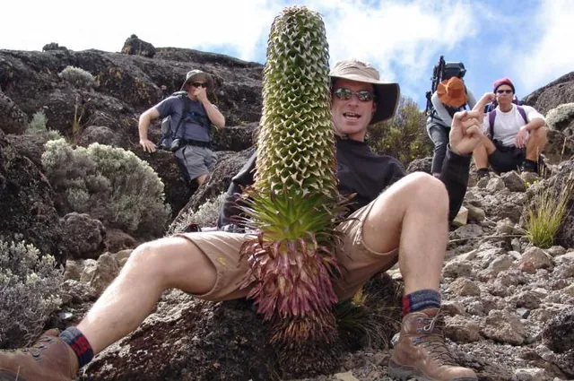 This one's dedicated to all you lovely ladies out there ... how you doin ;-)